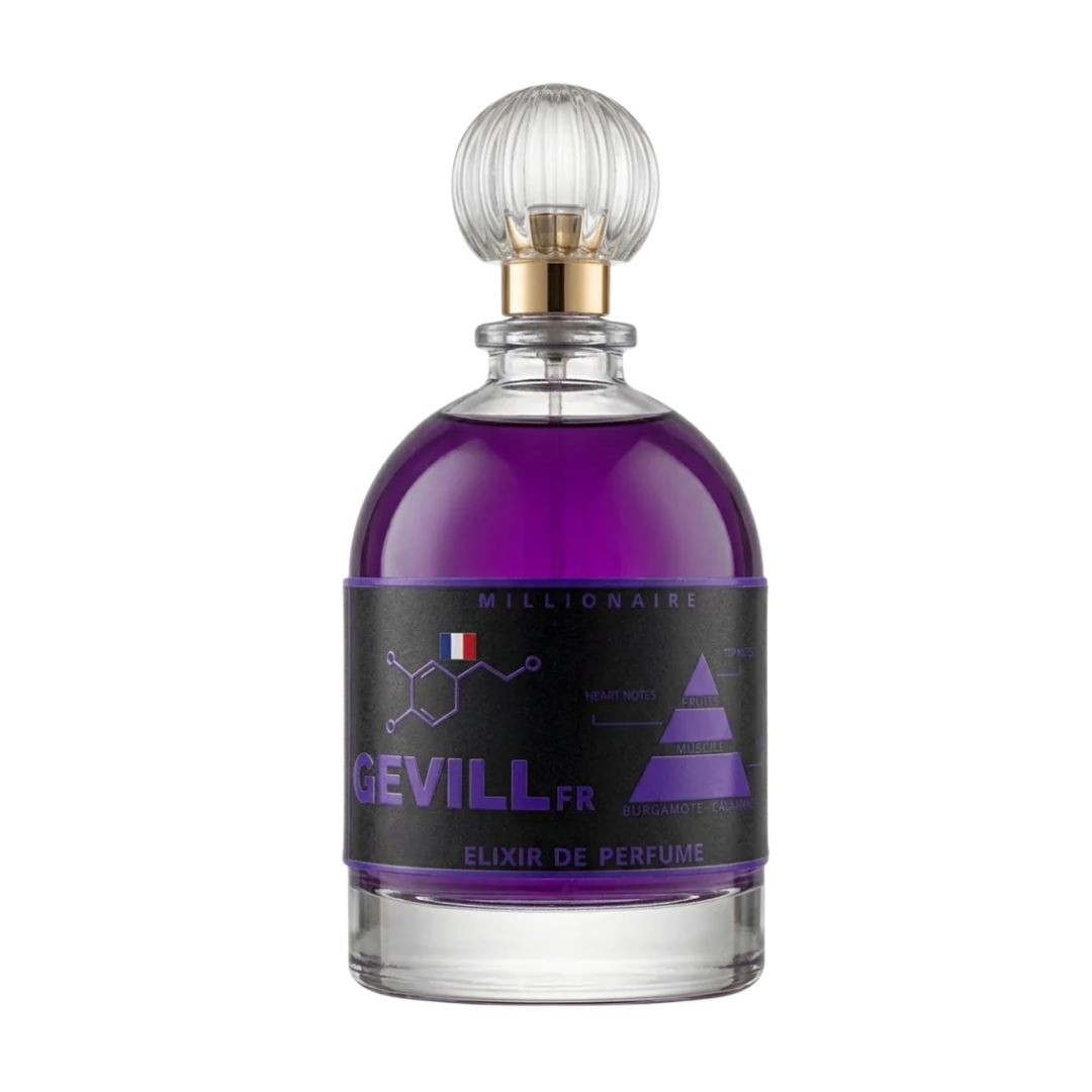 Gevill France Millionaire